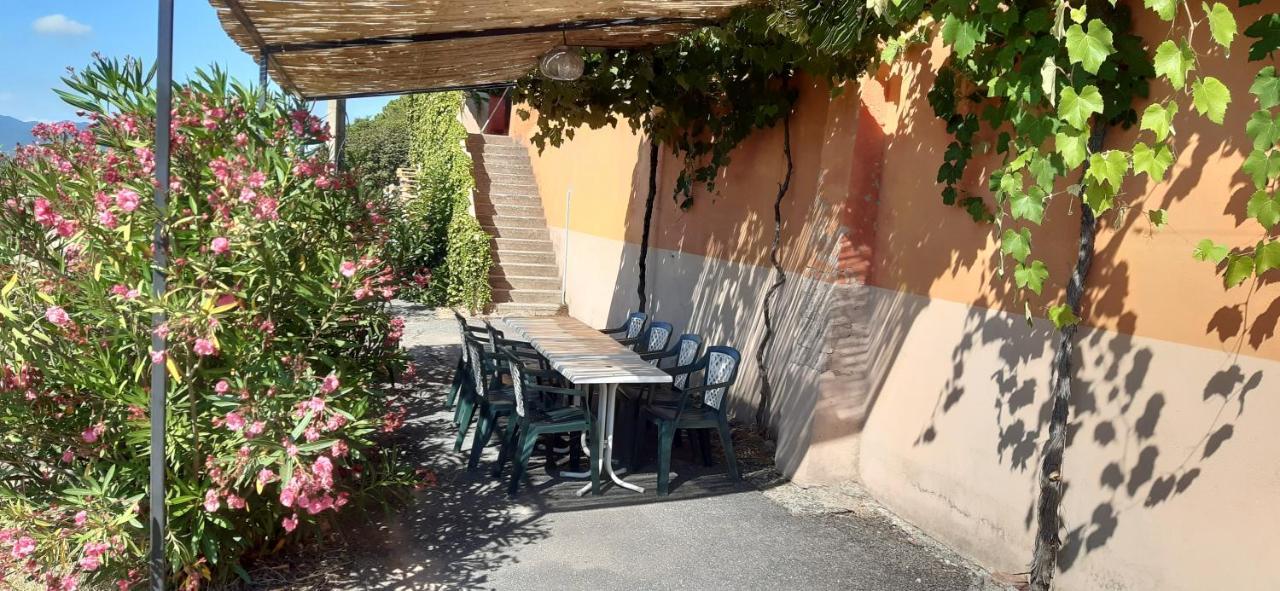 Le Gite Des Cinq Cepages Fréjus Екстериор снимка